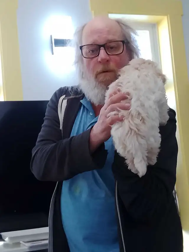 Spectacular Puppies Biewer terrier & Maltese mix - Photo 5