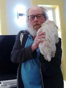 Spectacular Puppies Biewer terrier & Maltese mix - Photo 5