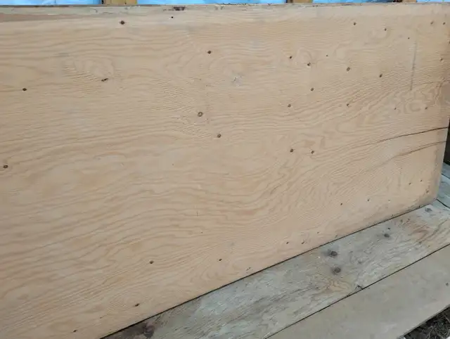 3/4' Sheathing Plywood :- Nearly New & Used - Photo 2