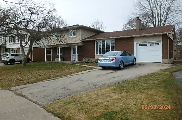 Share this house with a retired professional