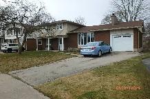 Share this house with a retired professional