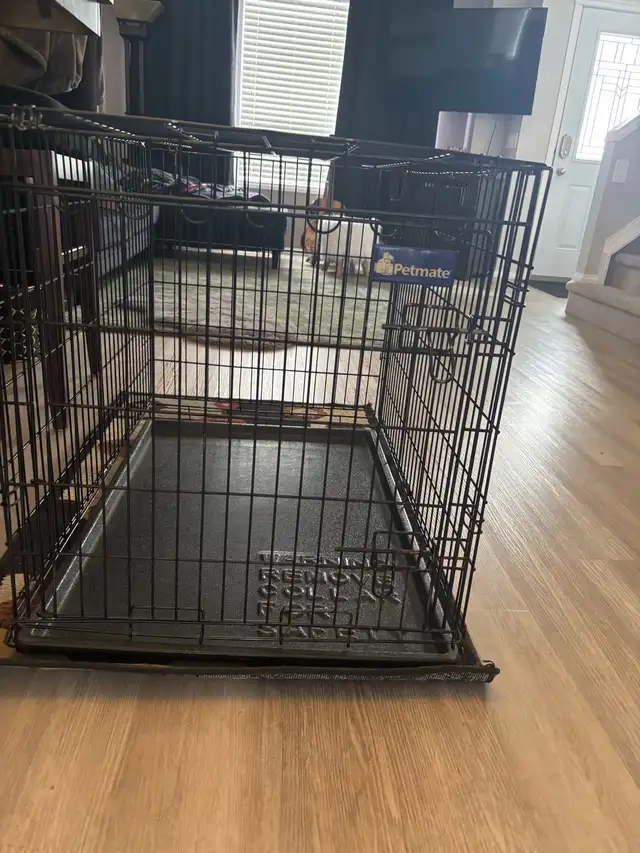 dog crate large