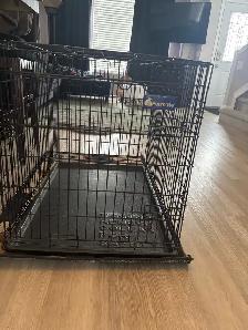 dog crate large