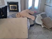 junk removal 438-529-7778 - Photo 2