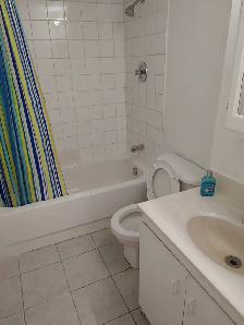 Furnished Bedroom For Rent! - Photo 6