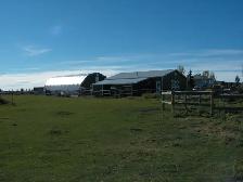 HORSE BOARDING - $235 per Month includes Feed. Sorry No Arena.