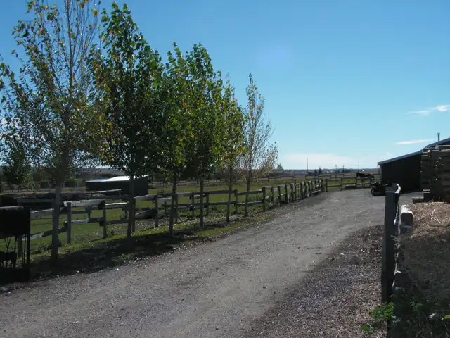 HORSE BOARDING - $235 per Month includes Feed. Sorry No Arena. - Photo 3