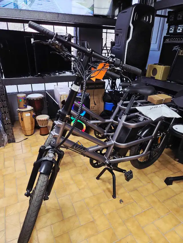 Vélo Électrique neuf cargo