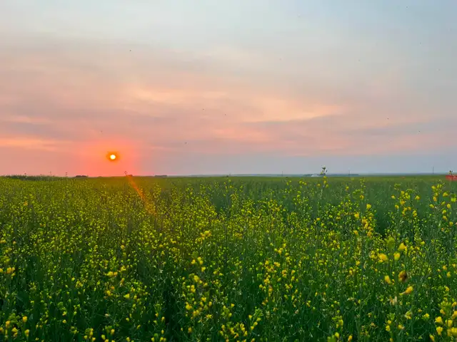 Farm Laborer - Wheatcrest Farms - Photo 4
