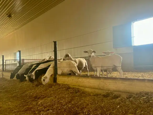 Farm Laborer - Wheatcrest Farms - Photo 5