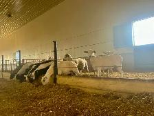 Farm Laborer - Wheatcrest Farms - Photo 5