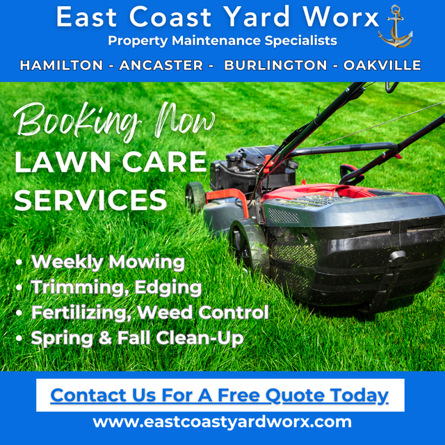 HIRING NOW: Property Lawn Care Team Members Full Time - Hamilton - Photo 4
