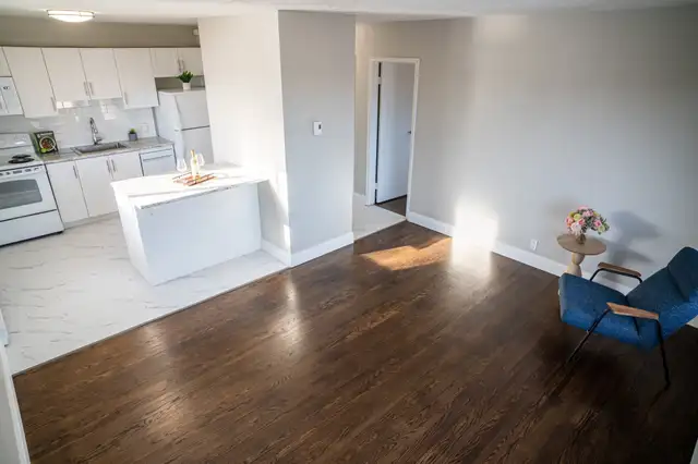 Bachelor in Kitchener -Waterloo starting at $1499 - Photo 2