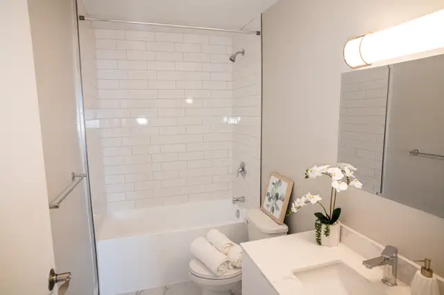 Bachelor in Kitchener -Waterloo starting at $1499 - Photo 3