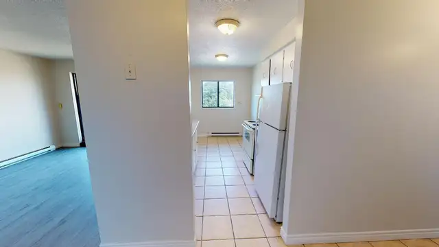 Two Bedroom Apartments - Tranby at Lauzon Road - Photo 5