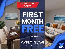 One Bedroom Suite in prime location!