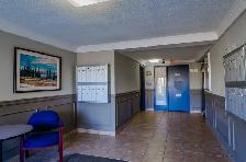 Two Bedroom Apartment- Old South /Vintage and Original - Photo 8