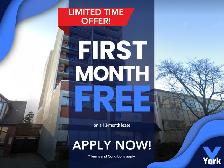 One Bedroom Suite in an ideal location! Don't Miss Out!