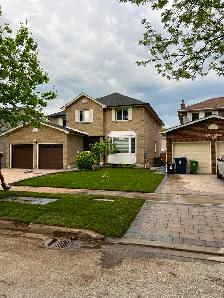 Sod Installation - Photo 2