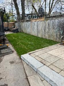 Sod Installation - Photo 4