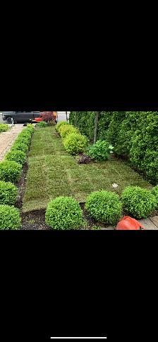 Sod Installation - Photo 5