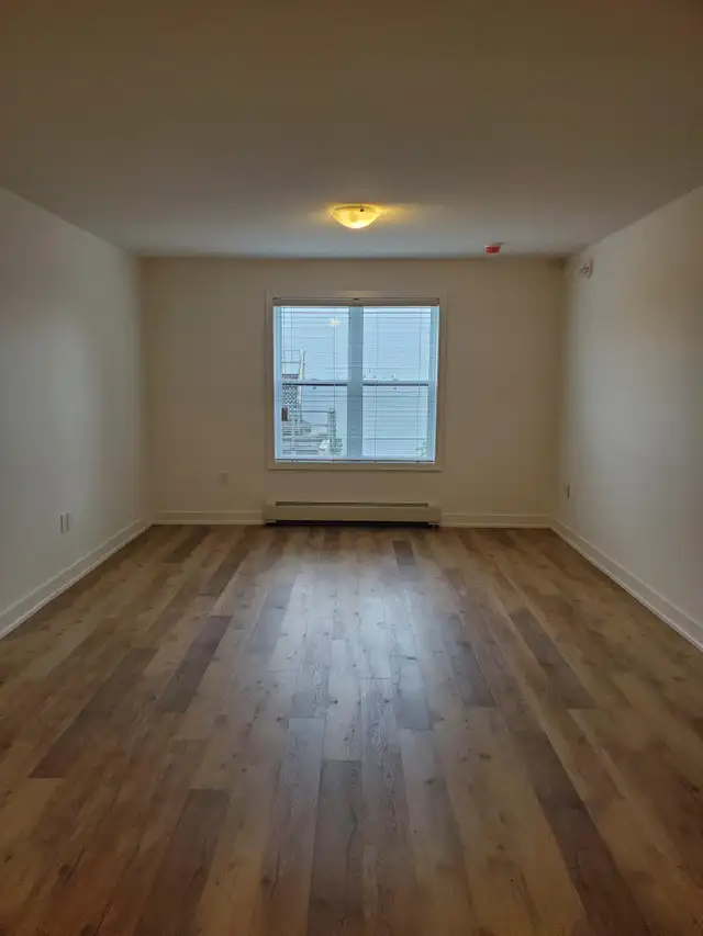 3 SPRING ST, PICTON - 2 BEDROOM - JUNE 2026 - Photo 3