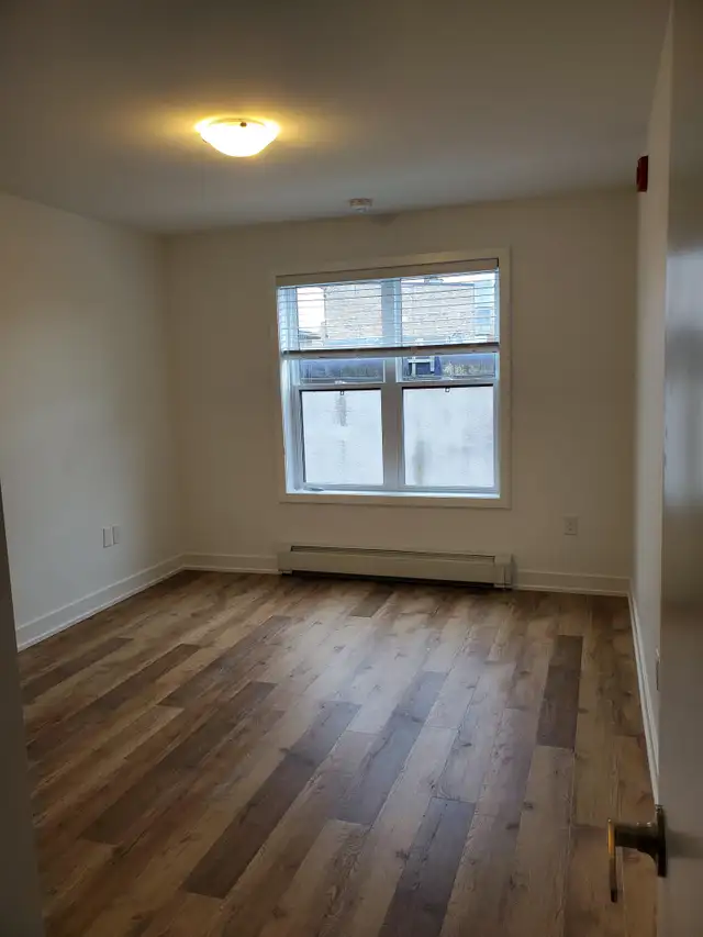 3 SPRING ST, PICTON - 2 BEDROOM - JUNE 2026 - Photo 4