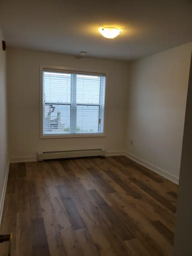 3 SPRING ST, PICTON - 2 BEDROOM - JUNE 2026 - Photo 5