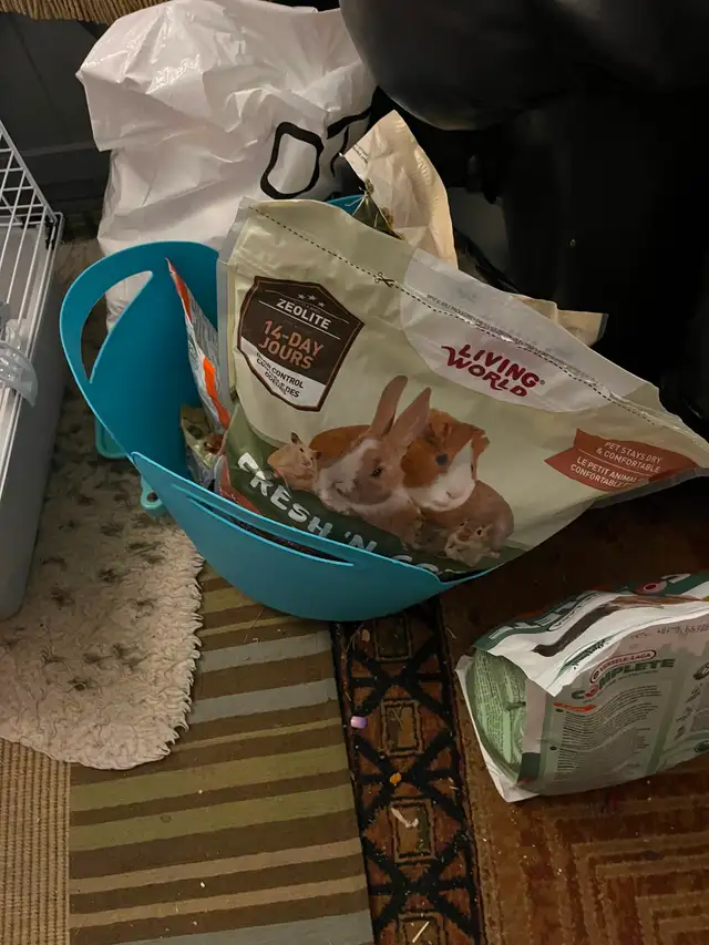 Aliments et vitamine c Cauchon d’Inde -Guinea pig