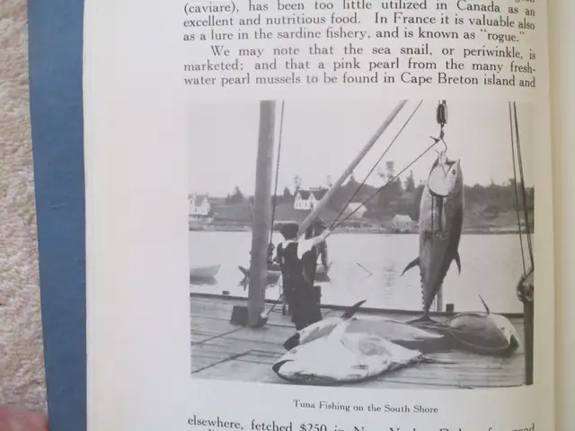 THE PROVINCE OF NS CANADA by H. S. Philpot, M.A. 1930 4th Ed. SC - Photo 7