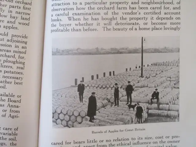 THE PROVINCE OF NS CANADA by H. S. Philpot, M.A. 1930 4th Ed. SC - Photo 8