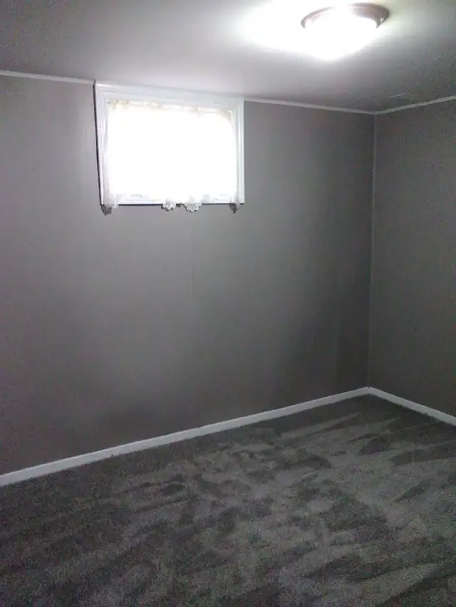 2 bedroom basement apartment - Photo 4