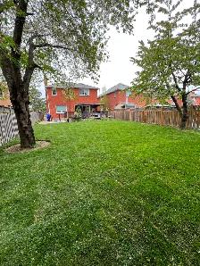 Kentucky Bluegrass Sod