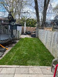 Kentucky Bluegrass Sod - Photo 2