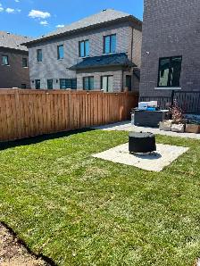 Kentucky Bluegrass Sod - Photo 4