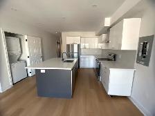 950  SQFT | New 2BED - 2BATH | Steps to St. Clair - Photo 2