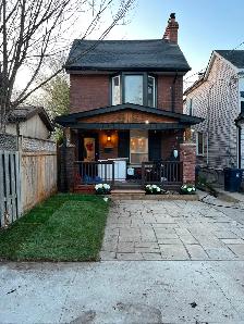 Sod Replacement - Photo 4