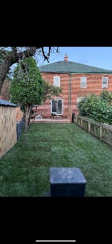 Sod Replacement - Photo 6