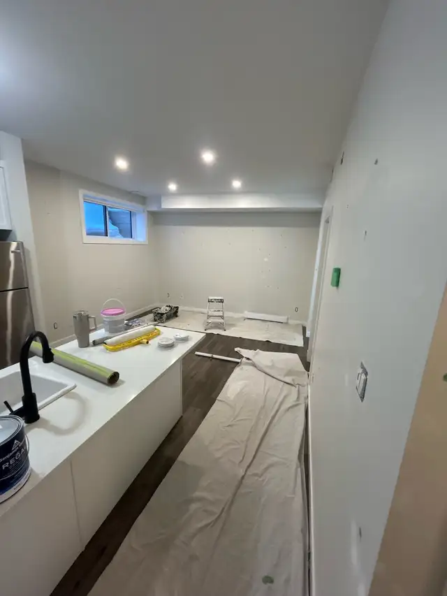 hiring painter and painting labour for nail hole - must have ppe