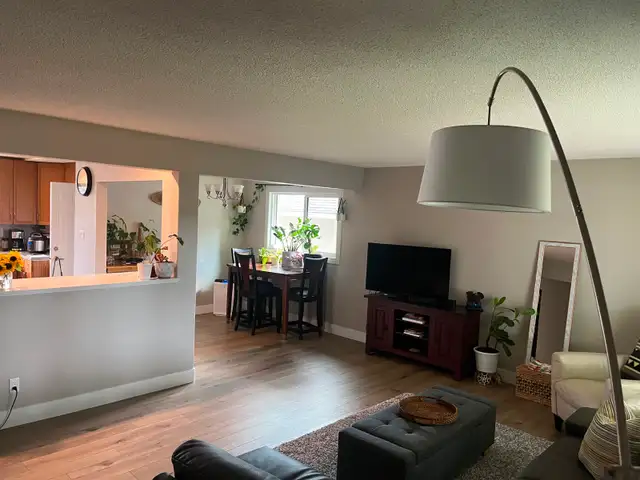 Main  Floor Rental - Photo 4