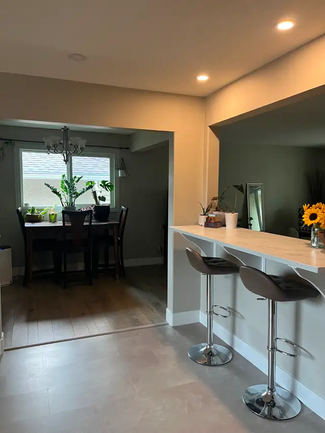 Main  Floor Rental - Photo 5