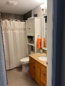 Main  Floor Rental - Photo 9