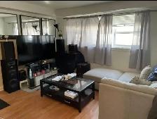 Nicely updated 1 bedroom with large windows for rent