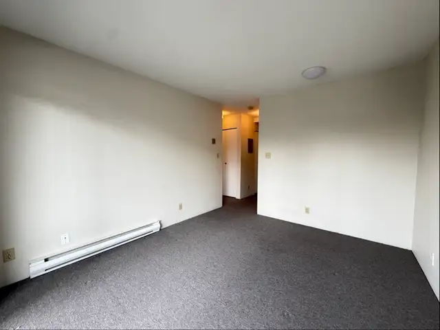 Renovated One Bedroom Apartment for RENT in Vancouver. - Photo 2