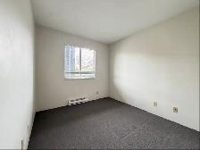 Renovated One Bedroom Apartment for RENT in Vancouver. - Photo 3