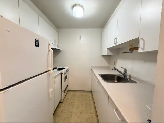 Renovated One Bedroom Apartment for RENT in Vancouver. - Photo 5