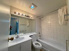 Renovated One Bedroom Apartment for RENT in Vancouver. - Photo 7
