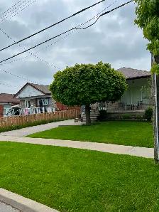 Lawn Maintenance - Photo 2