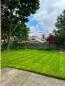 Lawn Maintenance - Photo 3