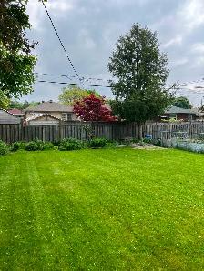 Lawn Maintenance - Photo 4